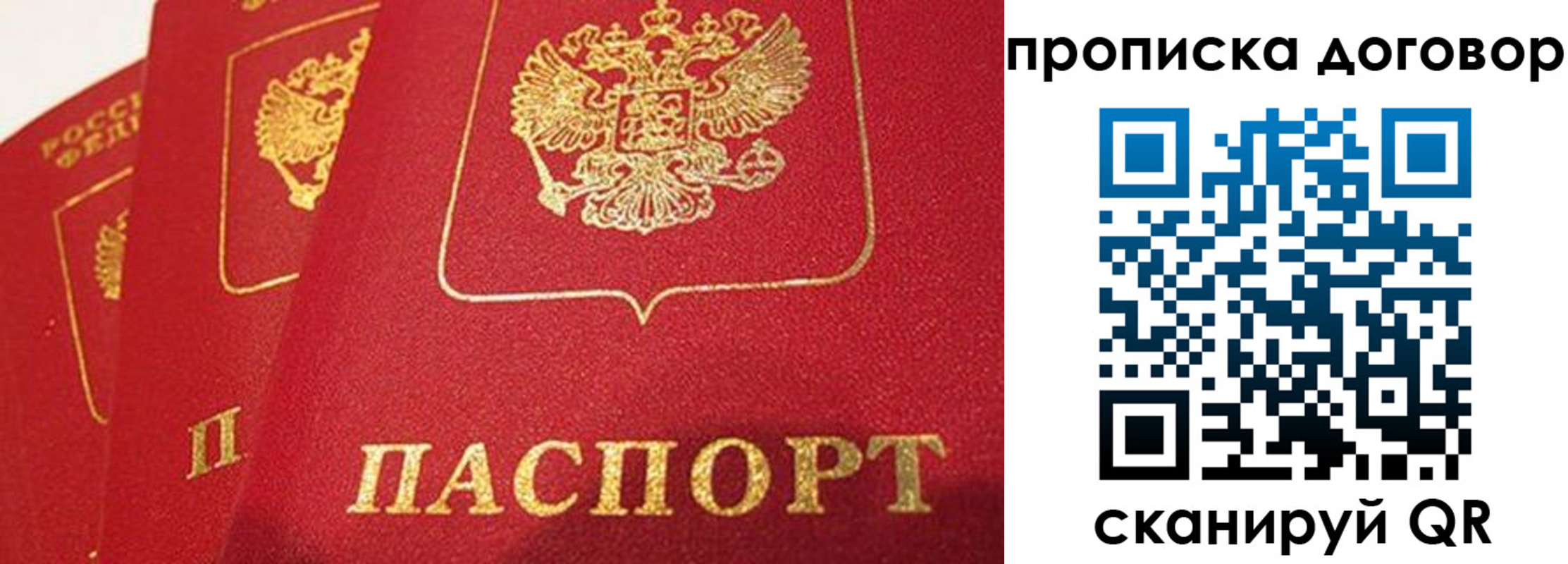 найти адрес прописки в Михайловке